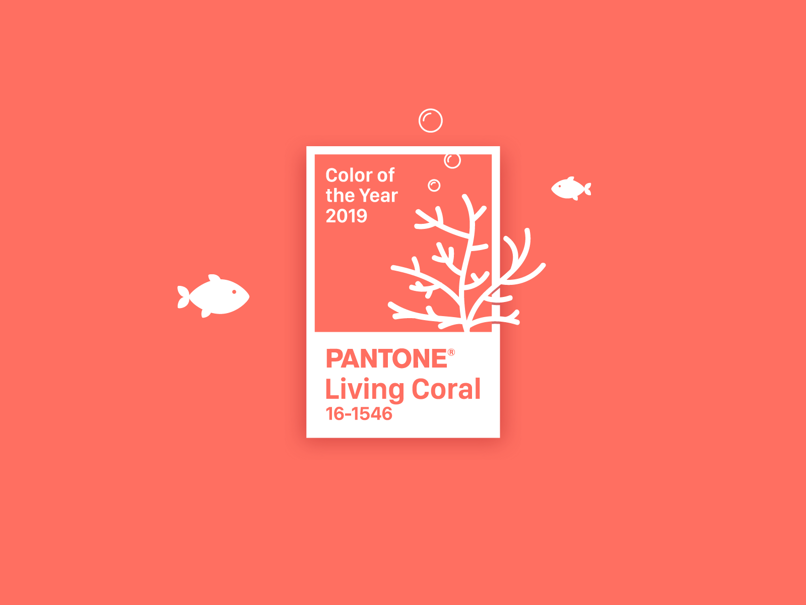 pantone2019livingcoral-by-vd-1600x1200px_4x